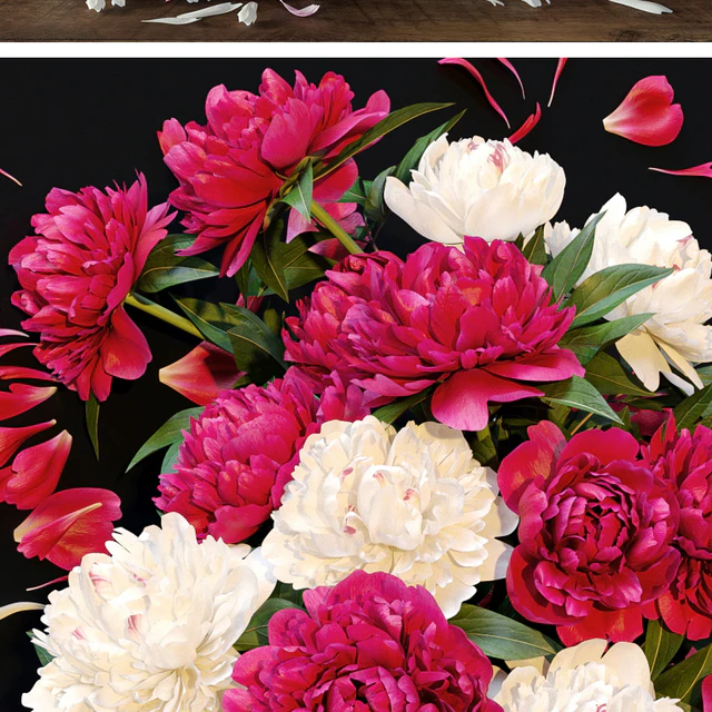 Peonies — Descargar