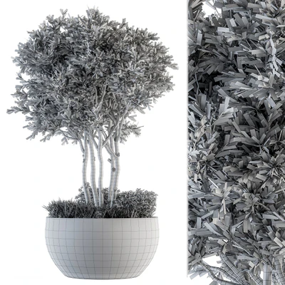 Outdoor Plants tree in Concrete Pot - Set 135 — Ver 2