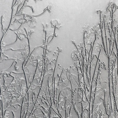 Botanical bas-relief gypsum wall decorative panel juniper dried flowers plants flora chamomile hogweed — Ver 4