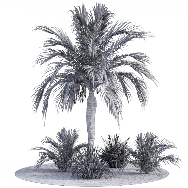 Garden Set Californication — Скачать