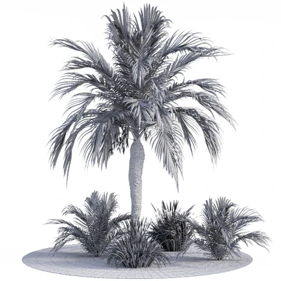 Garden Set Californication — Вид 3