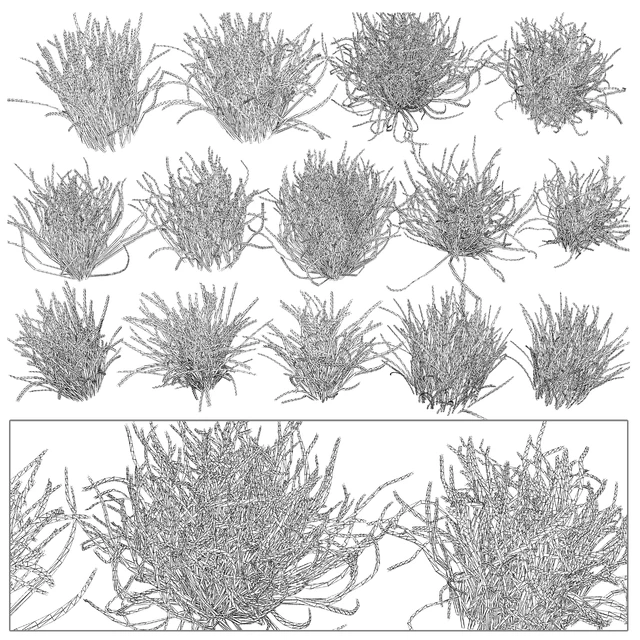 Forest grass — Descargar
