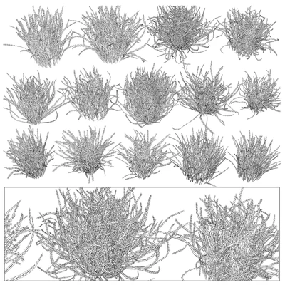 Forest grass — Ver 5