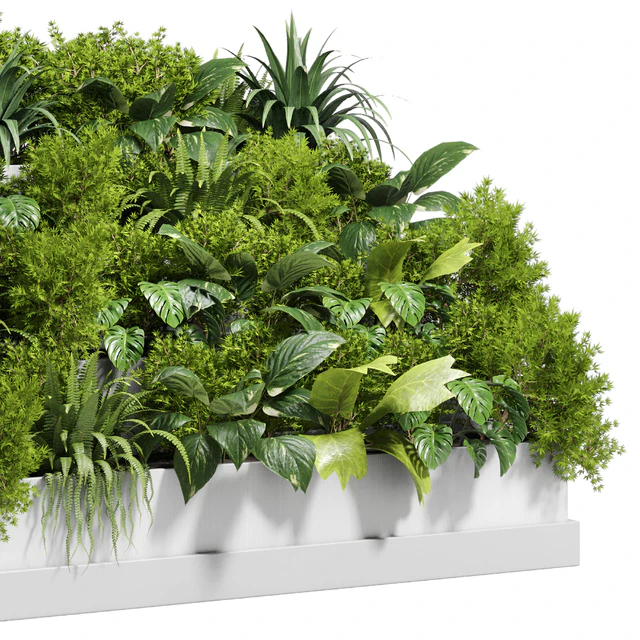 Stairs plant - Collection outdoor indoor plant 78 concrete vase pot fern bush grass — Descargar