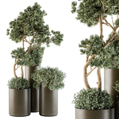 Outdoor Plants tree in Metal Pot - Set 102 — Вид 1