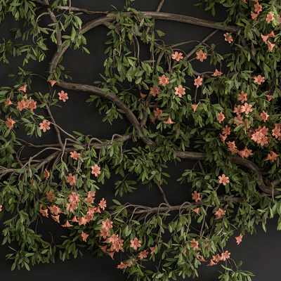 Outdoor Plant Set 426- Ivy on Wall — Вид 3