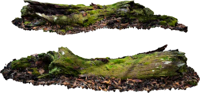 mossy wooden log 001 — Descargar