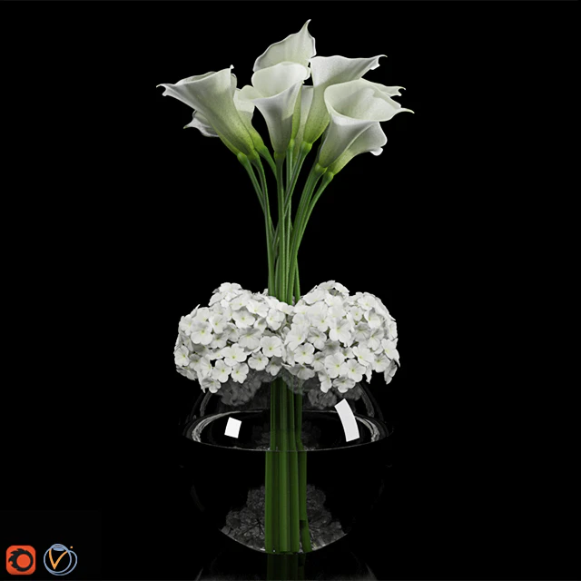 Calla Lily 2 — Descargar