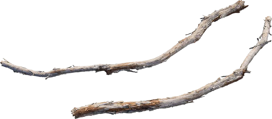 desert western tree branch juniper s 001 — Descargar