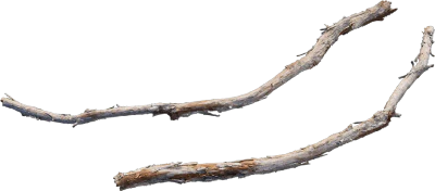 desert western tree branch juniper s 001 — Descargar