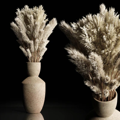 Dry Plants Bouquet Indoor concrete vase — descargar
