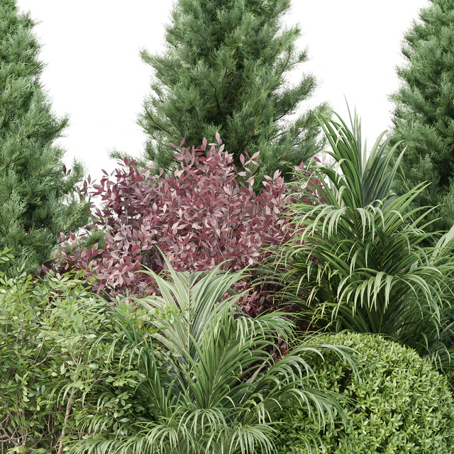 Garden collection vol 196 — Descargar