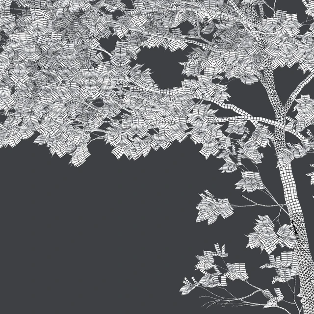 Tulip tree — Descargar