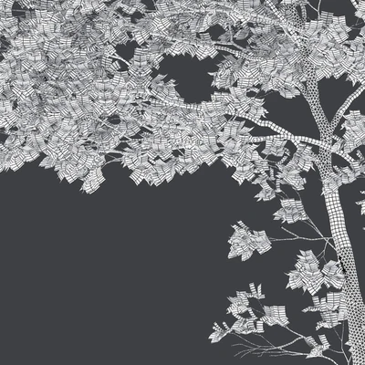 Tulip tree — Ver 3