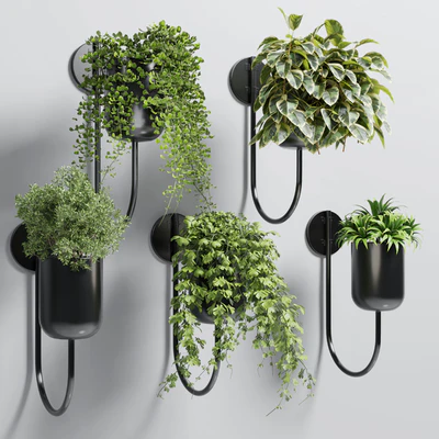 collection Indoor plant 135 vase metal stand wall plant — Вид 1