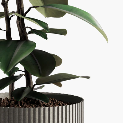 Indoor Plants Set 08 — Ver 2