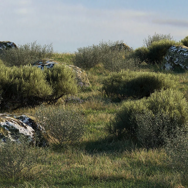 forest landscape — Descargar