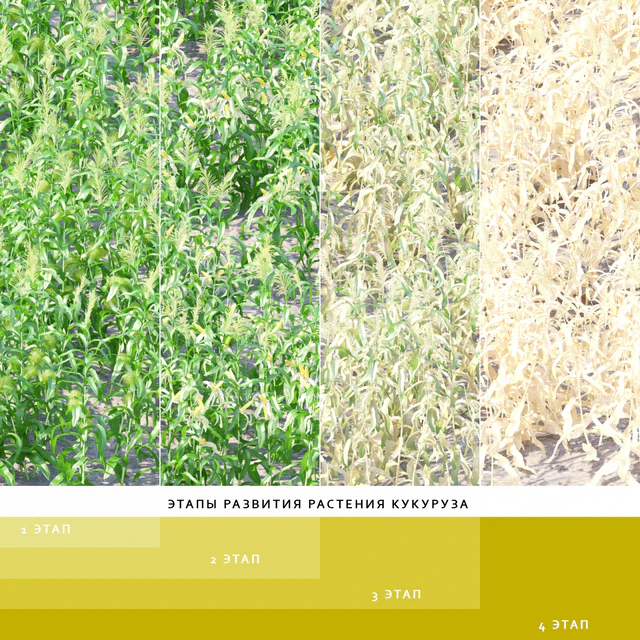 Vegetable garden | Kitchen garden.vol 4 — Descargar