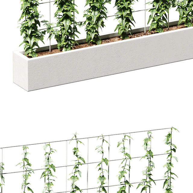 Ivy on the grid — Descargar