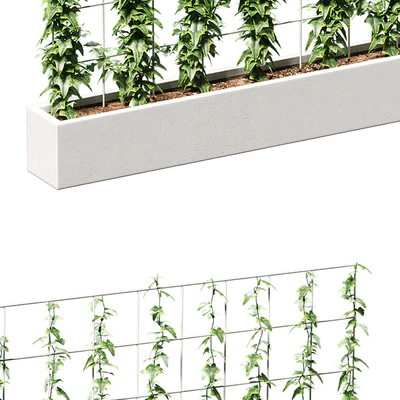 Ivy on the grid — Ver 2