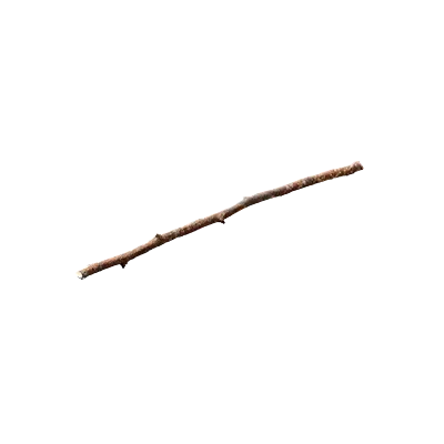 tree debris 007 — Descargar