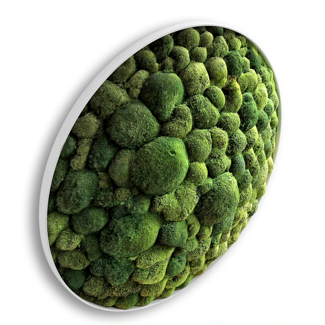 panel moss boulder — Descargar