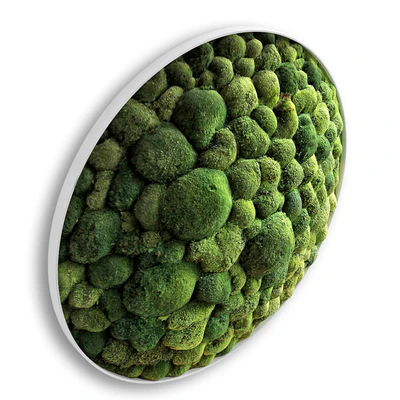 panel moss boulder — Ver 5