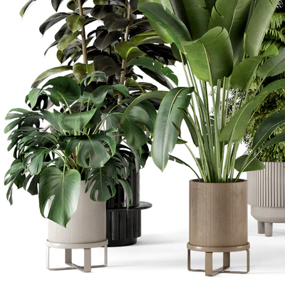 Indoor Plants in Ferm Living Bau Pot Large - Set 734 — Ver 5