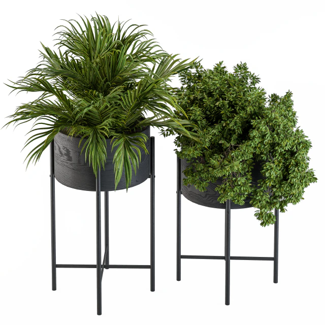 Black round plant box 03 — Скачать