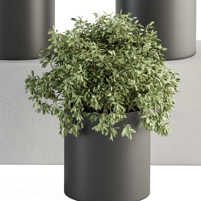 indoor Plant Set 305 - Small Plant pot — Descargar