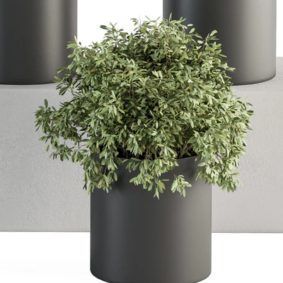 indoor Plant Set 305 - Small Plant pot — Ver 5