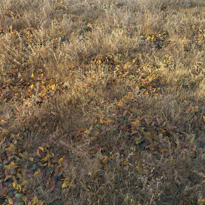Dry autumn grass — Ver 4