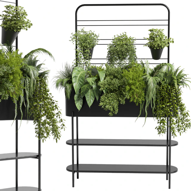 Collection Indoor plant 69 Auckland Black Metal Flower Box plant ivy fern pots — Скачать