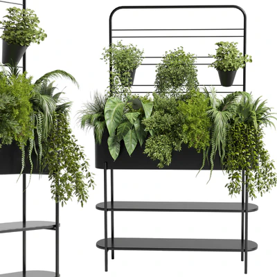 Collection Indoor plant 69 Auckland Black Metal Flower Box plant ivy fern pots — Вид 1