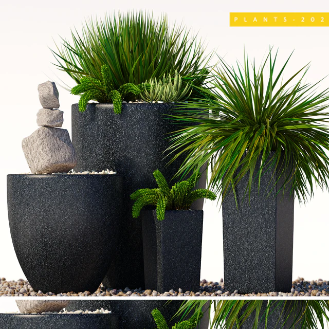 plants 202 — Descargar