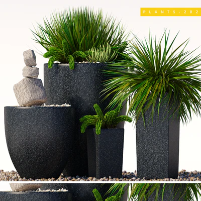 plants 202 — Descargar