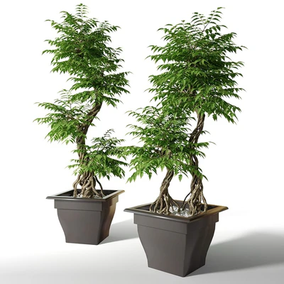 Большое искусственное дерево Fruticosa — Вид 1