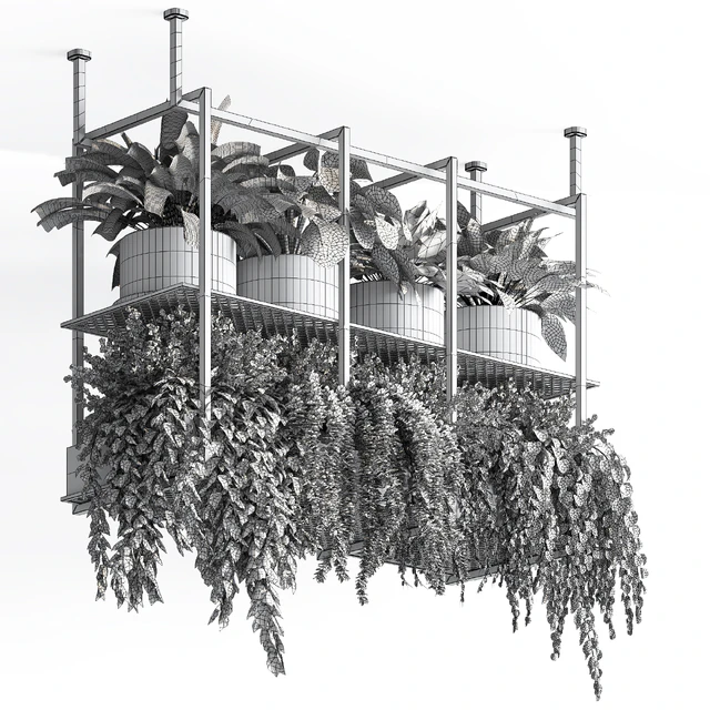 collection Indoor plants hanging pot metal 01 — Descargar