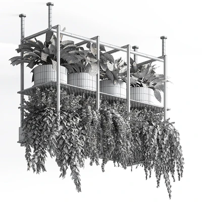 collection Indoor plants hanging pot metal 01 — Ver 3