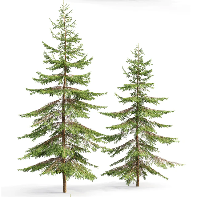 Spruce — Скачать