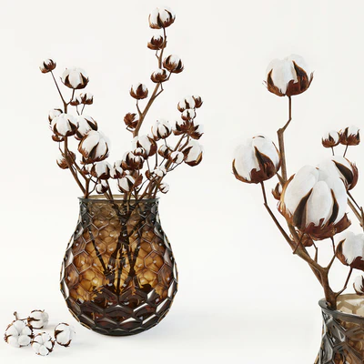Cotton in a vase — Ver 1
