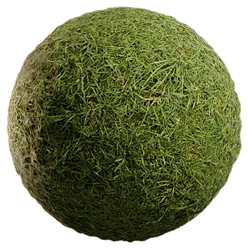 wild grass 052 — Скачать