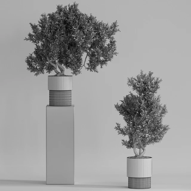 Plants collection 735 — Descargar