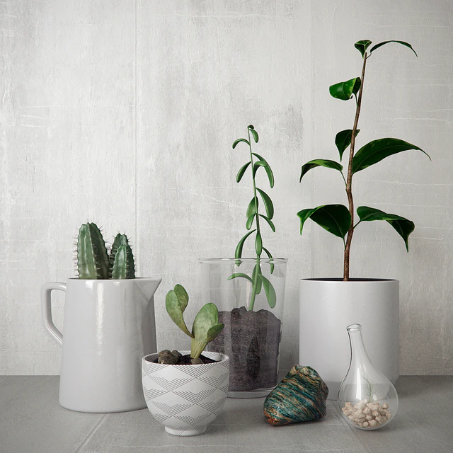 Greens set — Скачать