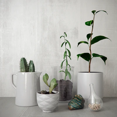 Greens set — Скачать
