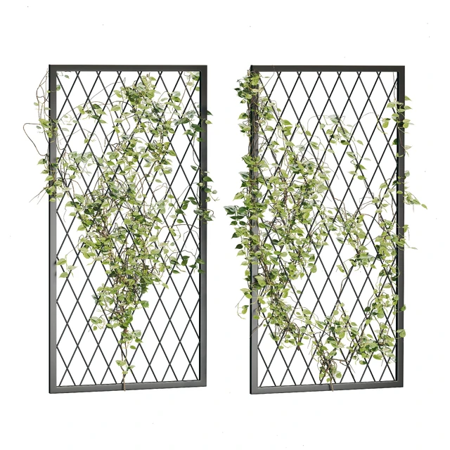 Ivy Plants 04 — Скачать