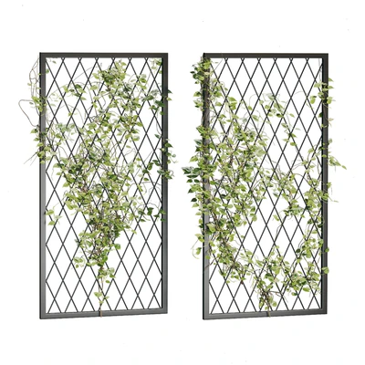 Ivy Plants 04 — Вид 3