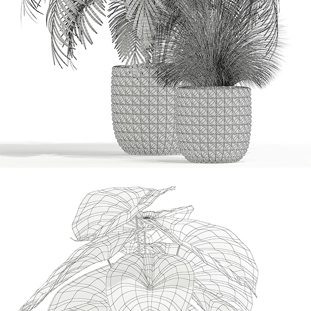 Plants collection 138 — Download