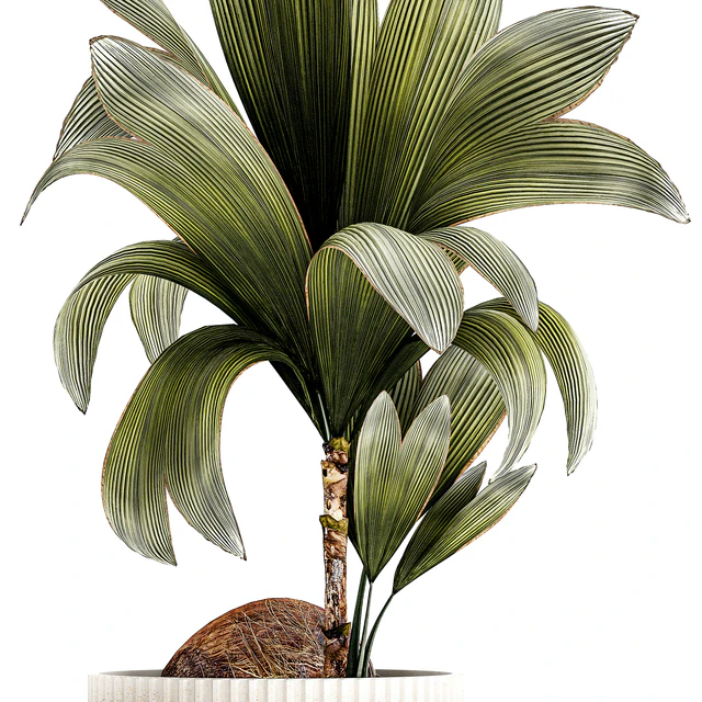 Коллекция растений 1457 — Скачать