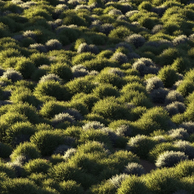 Round grass — Скачать